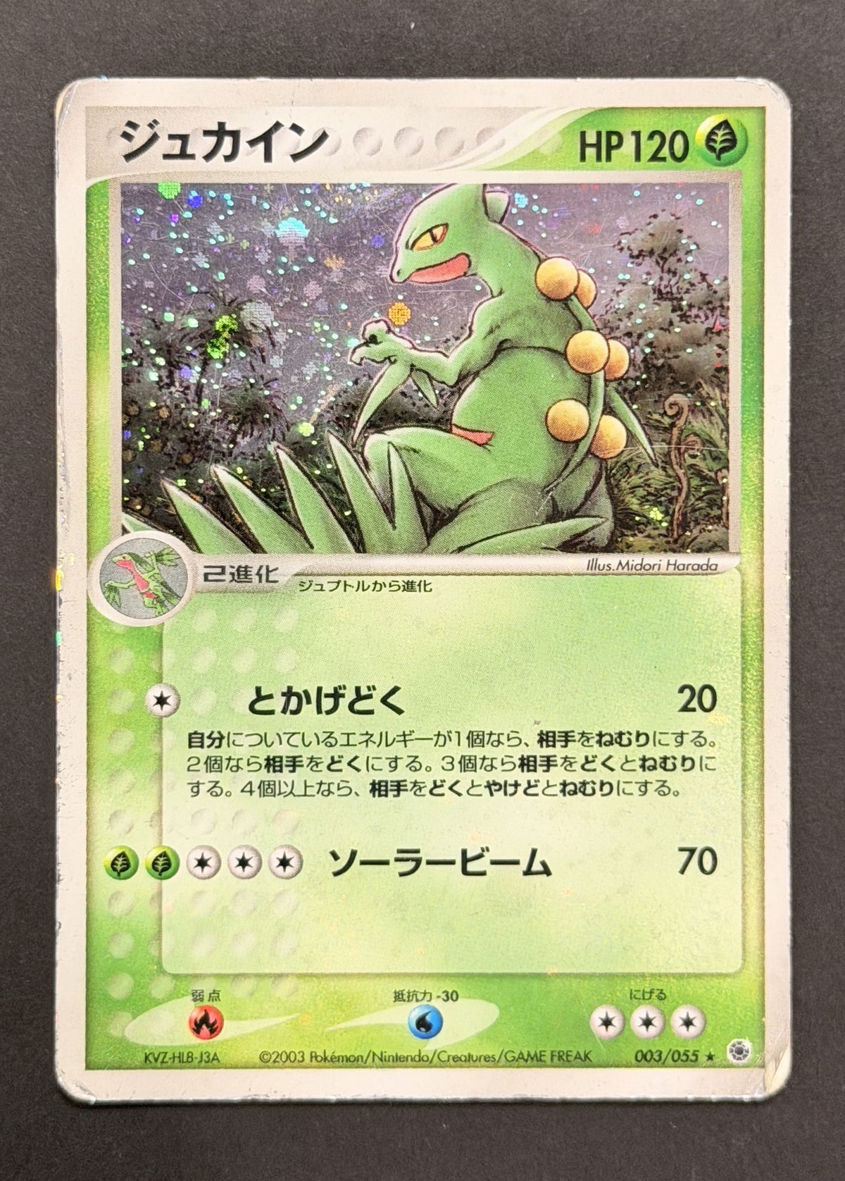 Sceptile #003/055 – ADV Expansion Pack (Japanese)