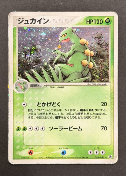 Sceptile #003/055 – ADV Expansion Pack (Japanese)