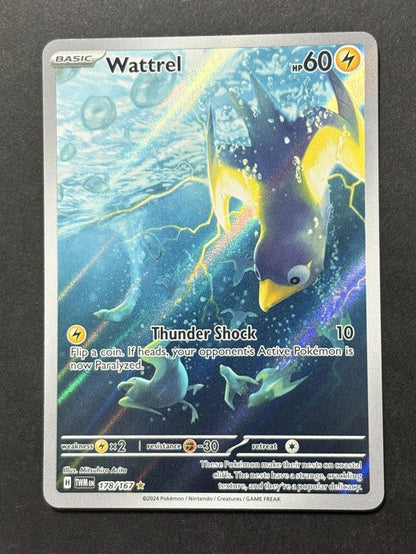 Wattrel 178/167 Twilight Masquerade English Pokémon card front
