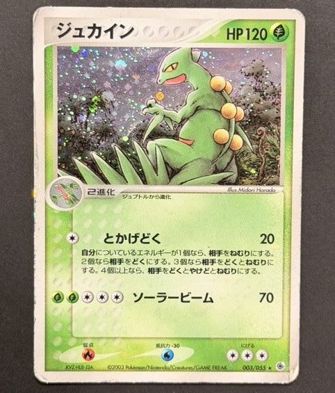 Sceptile 003/055 ADV Expansion Pack Japanese Pokémon card front